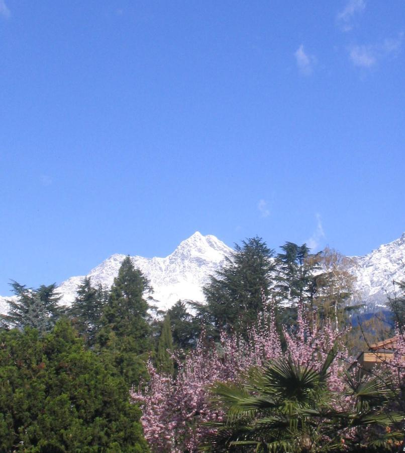 Hotel Zima Merano Eksteriør bilde