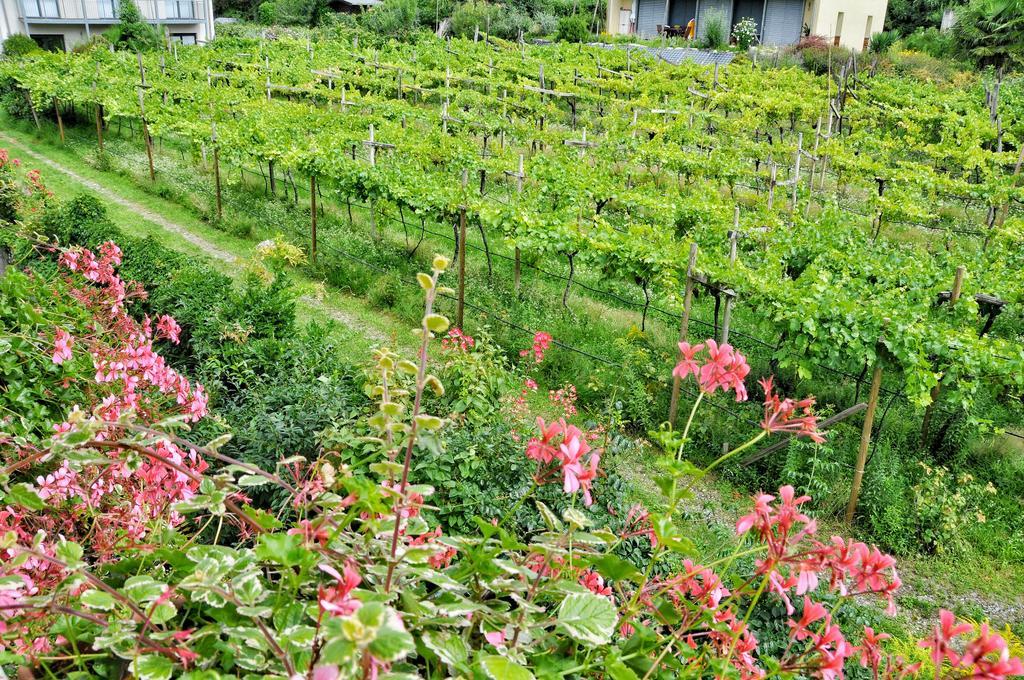 Hotel Zima Merano Rom bilde