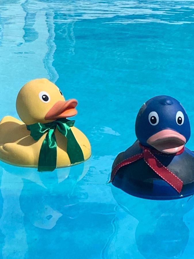 Hotel Zima Merano Eksteriør bilde